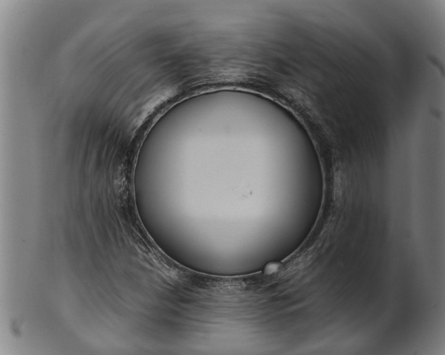 X0000101661210200807241410