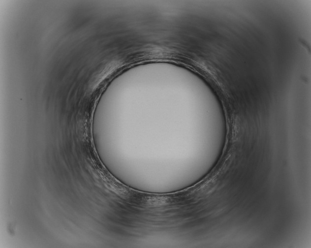 X0000101661211200807241410