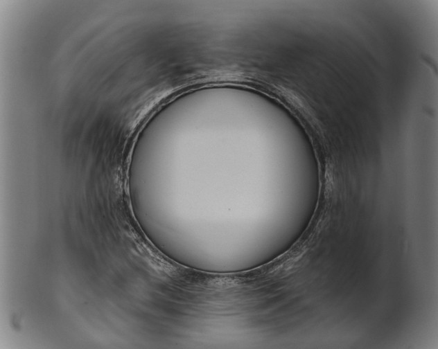 X0000101661212200807241410