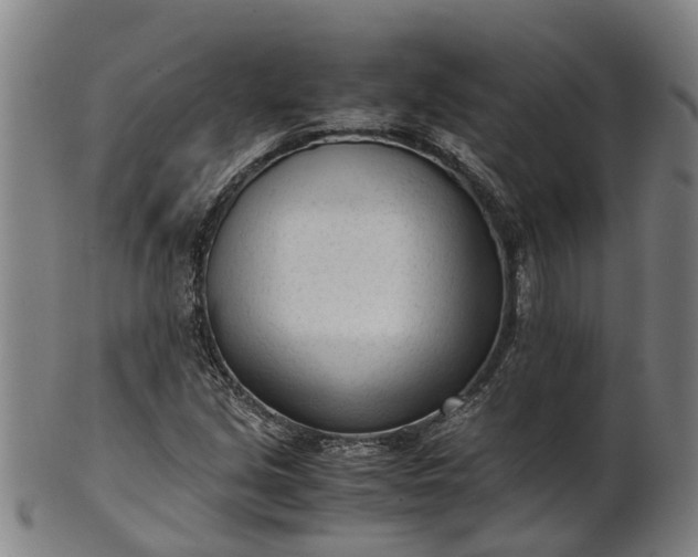 X0000101661213200807241410