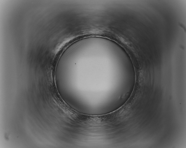 X0000101661214200807241410