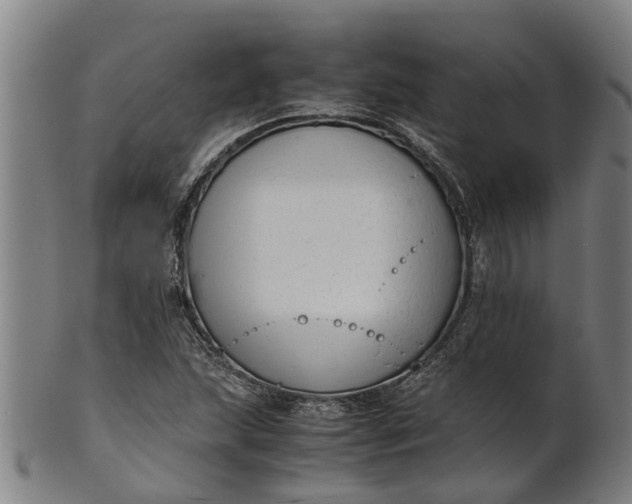 X0000101661215200807241410