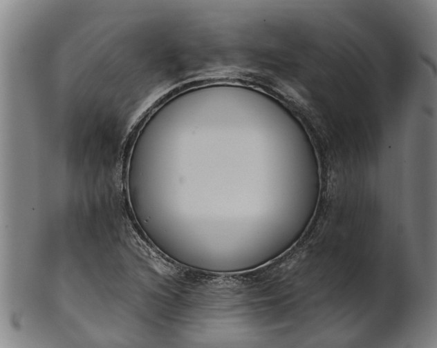 X0000101661216200807241410