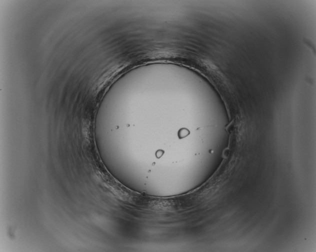 X0000101661217200807241410