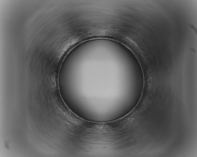 X0000101661218200807241410