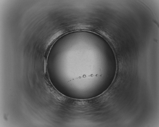 X0000101661219200807241410