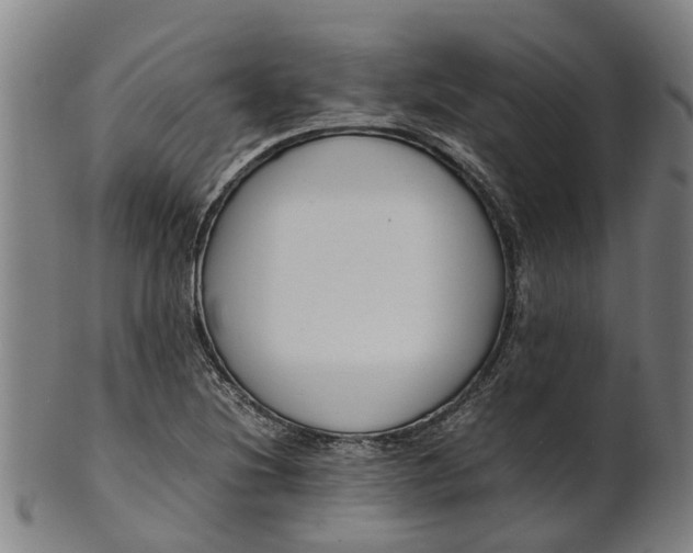 X0000101661220200807241410