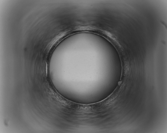 X0000101661221200807241410