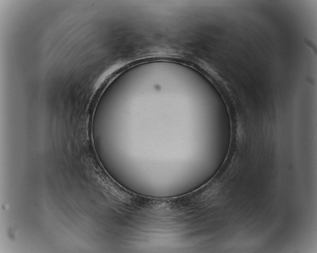 X0000101661222200807241410