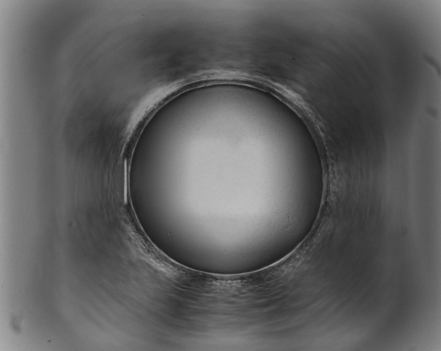 X0000101661223200807241410