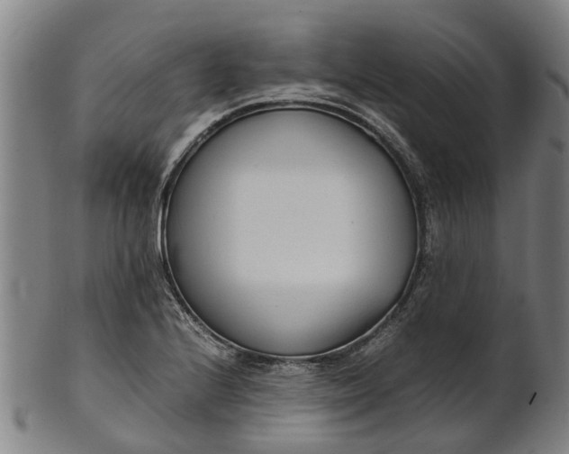 X0000101661224200807241410