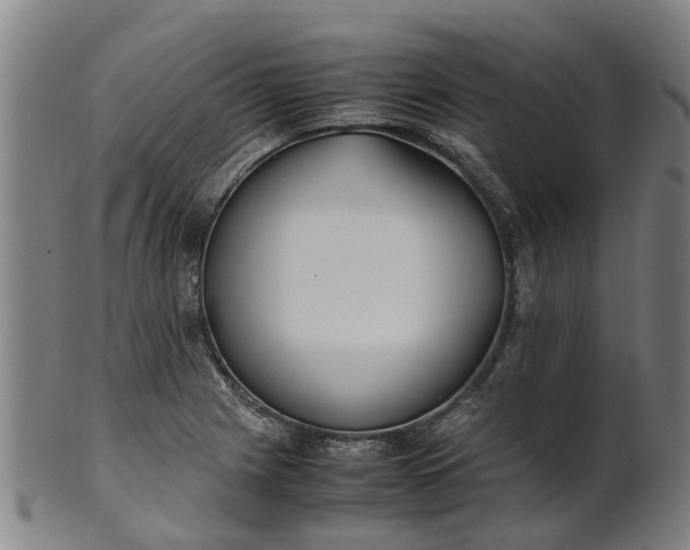 X0000101661225200807241410