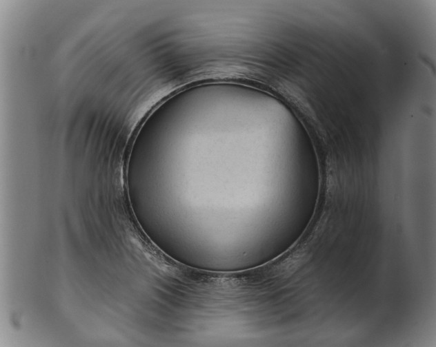 X0000101661226200807241410