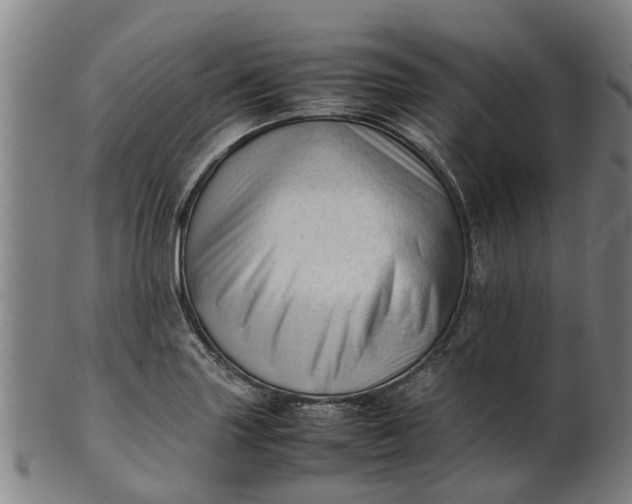 X0000101661227200807241410