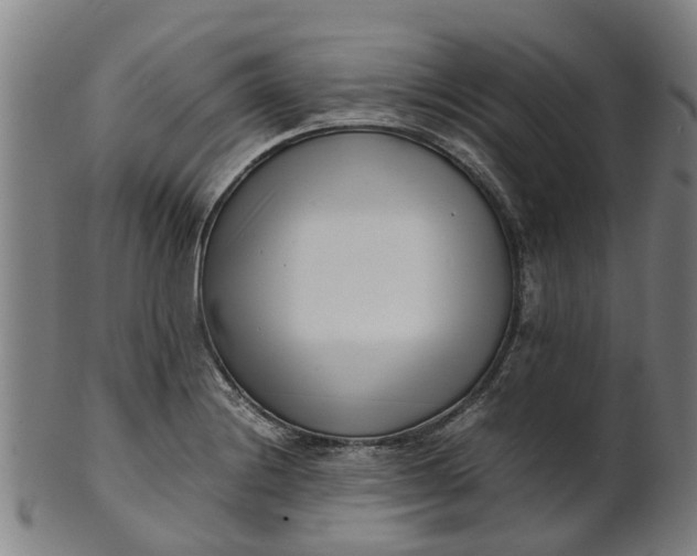 X0000101661228200807241410