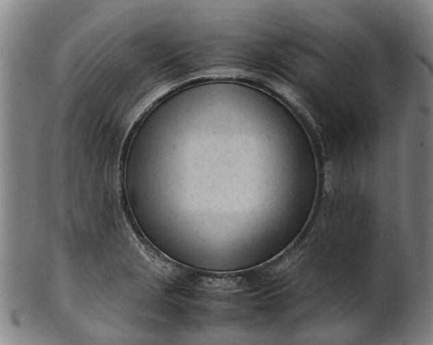 X0000101661229200807241410