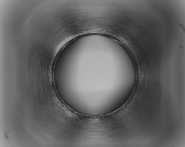 X0000101661230200807241410