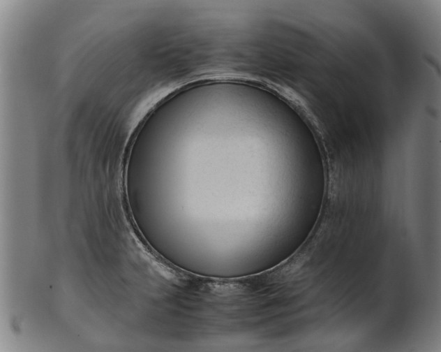 X0000101661231200807241410