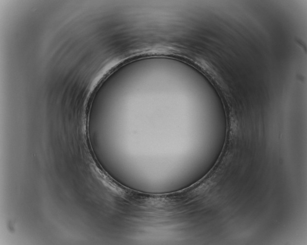 X0000101661232200807241410