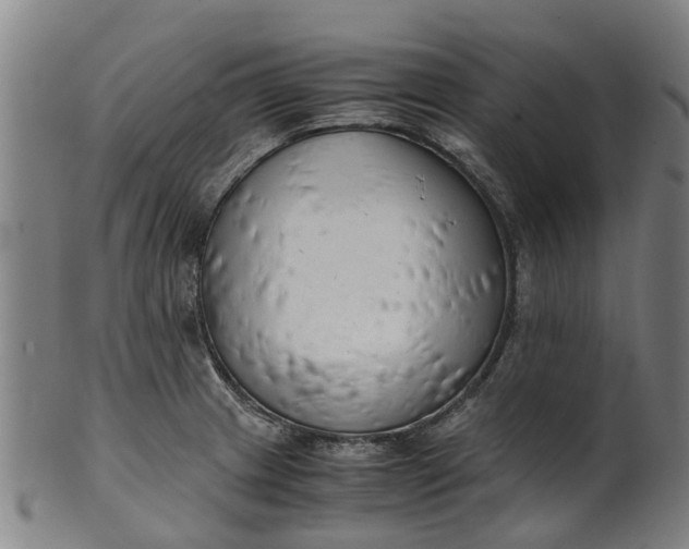 X0000101661233200807241410