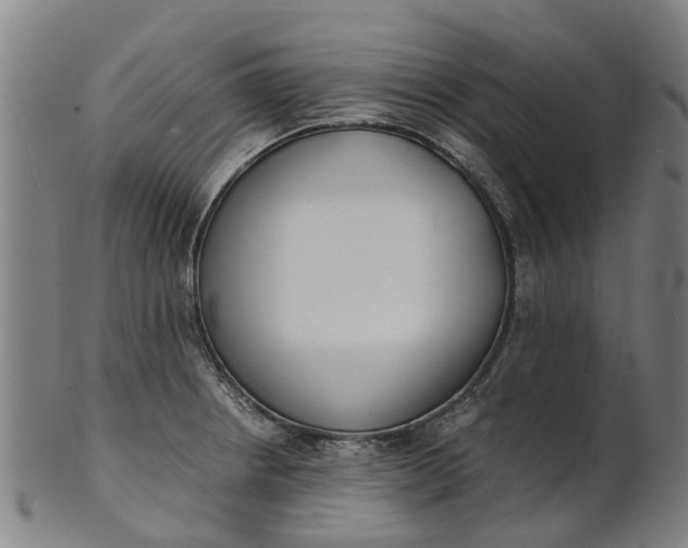 X0000101661234200807241410