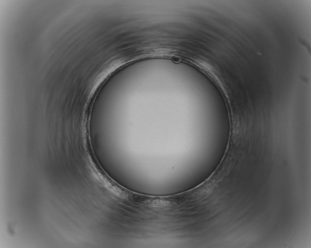 X0000101661235200807241410