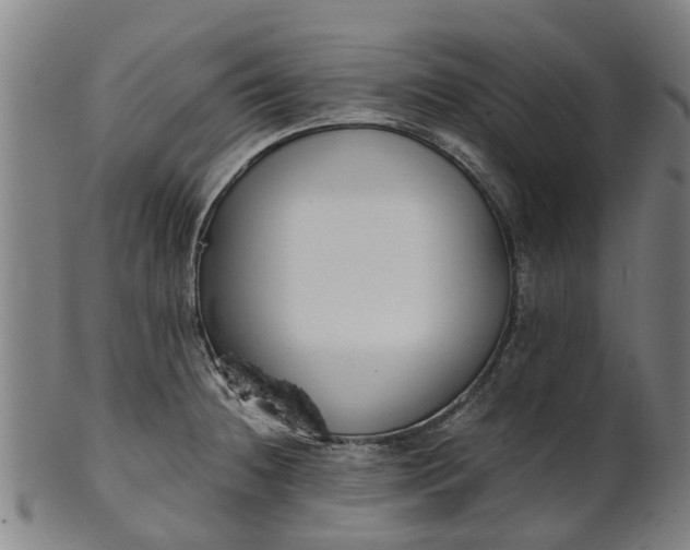 X0000101661236200807241410