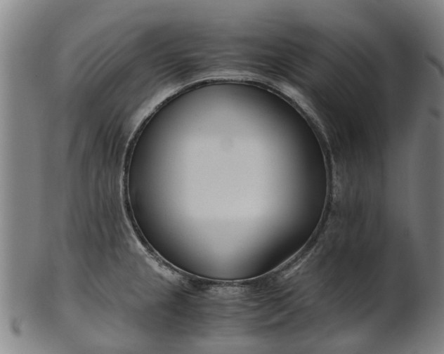 X0000101661237200807241410