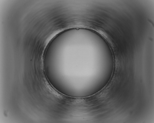 X0000101661238200807241410