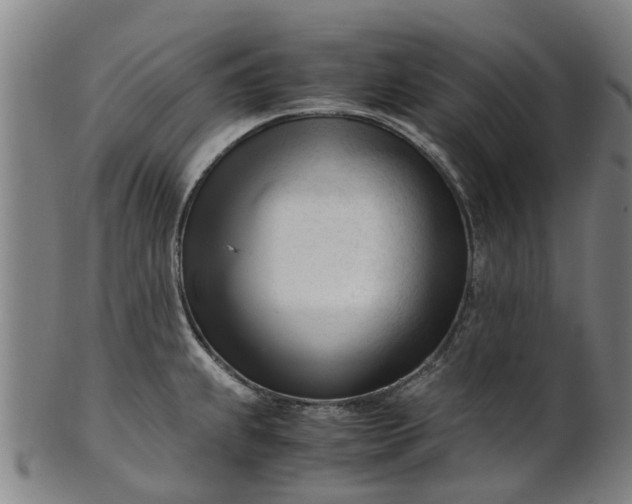 X0000101661239200807241410