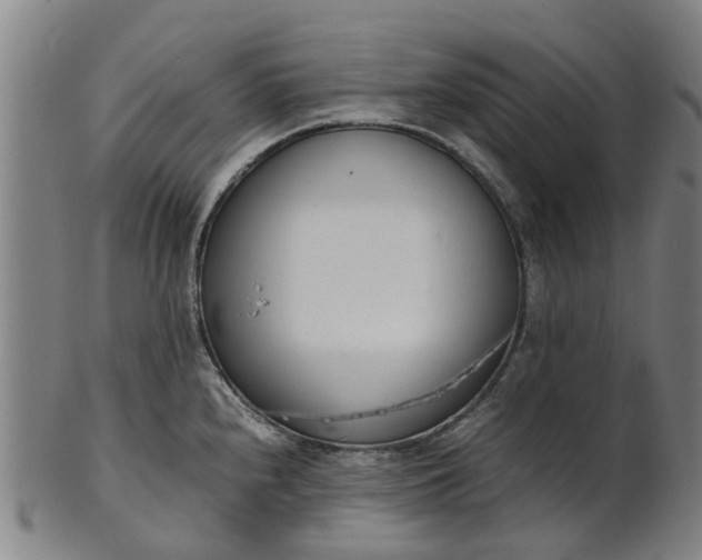 X0000101661240200807241410