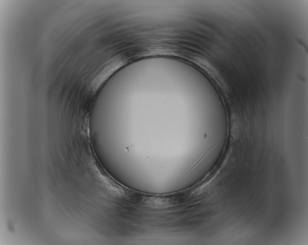 X0000101661241200807241410