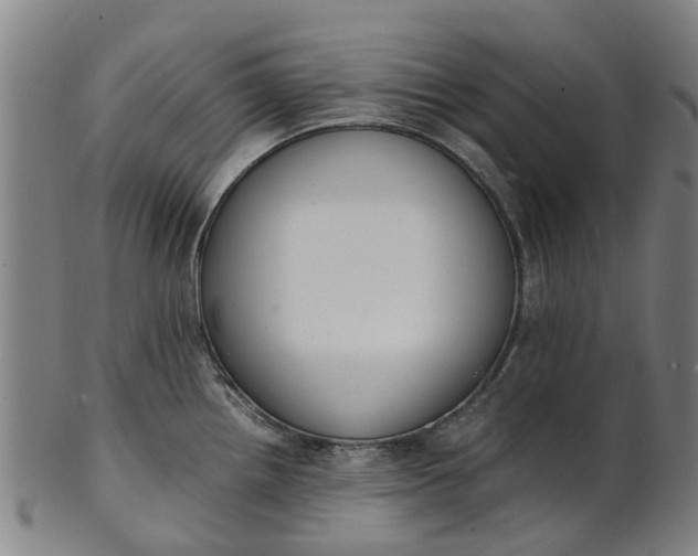 X0000101661242200807241410