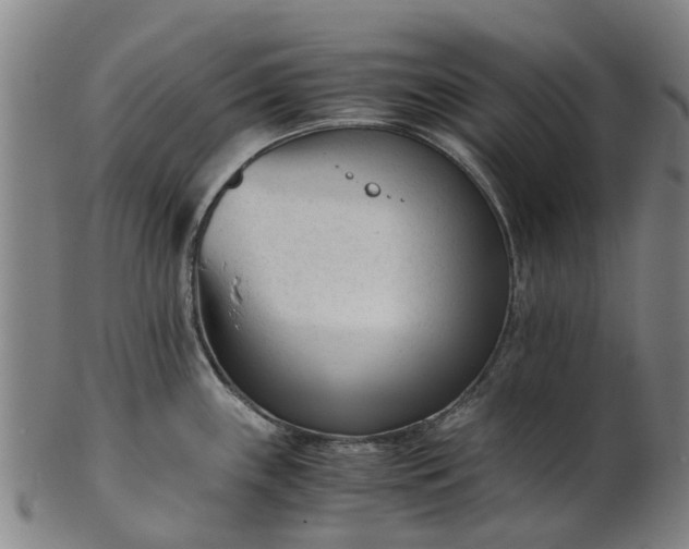 X0000101661243200807241410