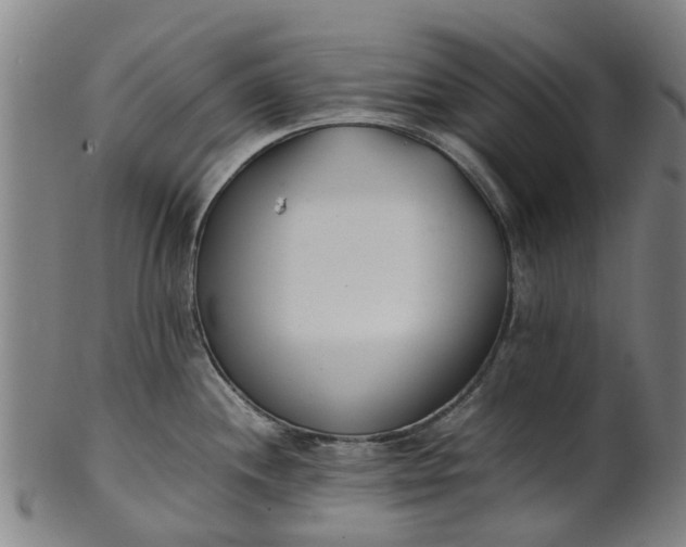 X0000101661244200807241410