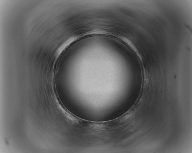 X0000101661245200807241410