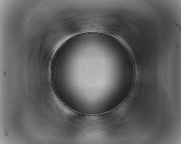 X0000101661246200807241410