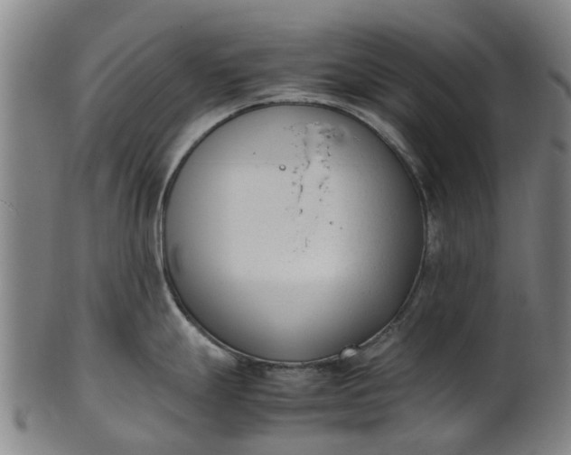 X0000101661247200807241410