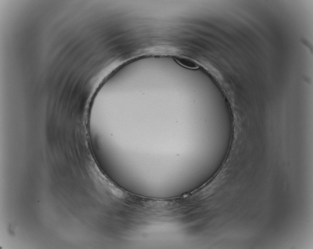 X0000101661248200807241411