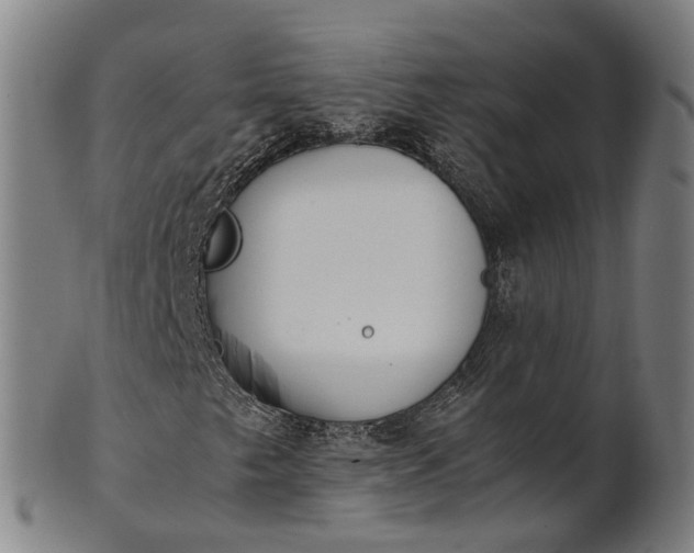 X0000101661249200807241410