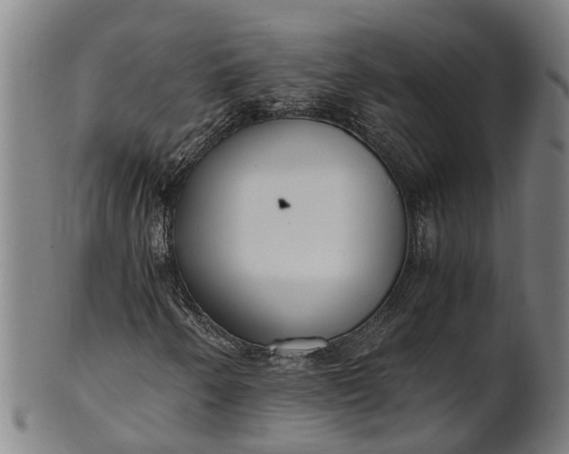 X0000101661250200807241410