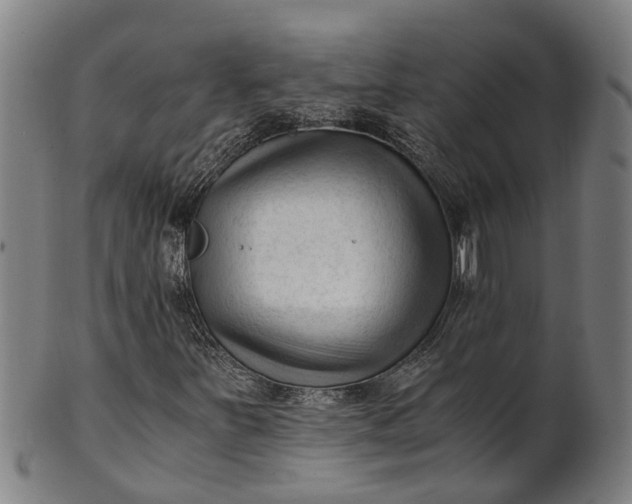 X0000101661251200807241410