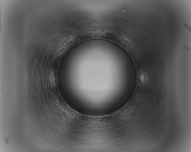 X0000101661252200807241410