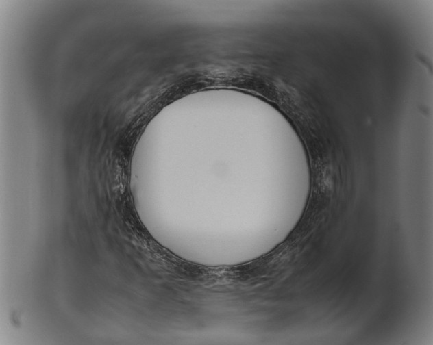 X0000101661253200807241410