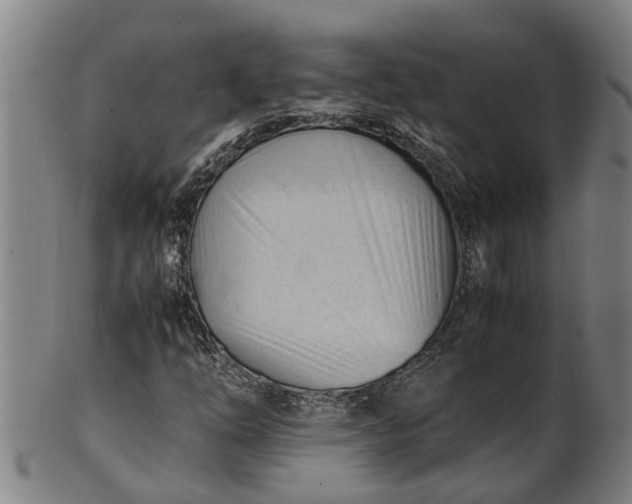 X0000101661254200807241410