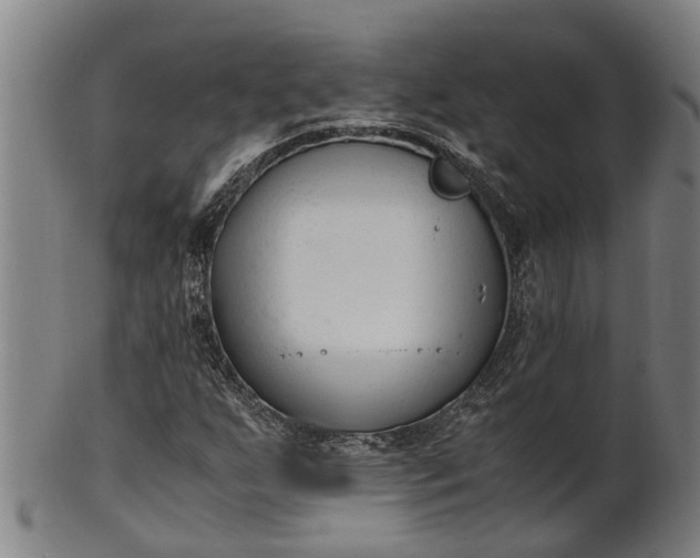 X0000101661255200807241410