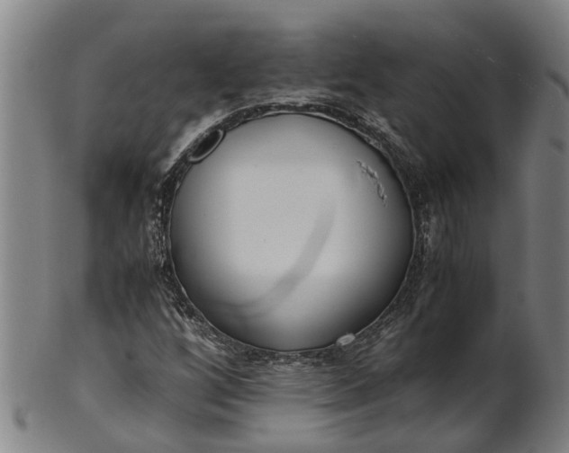 X0000101661256200807241410