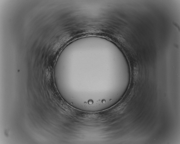 X0000101661257200807241410