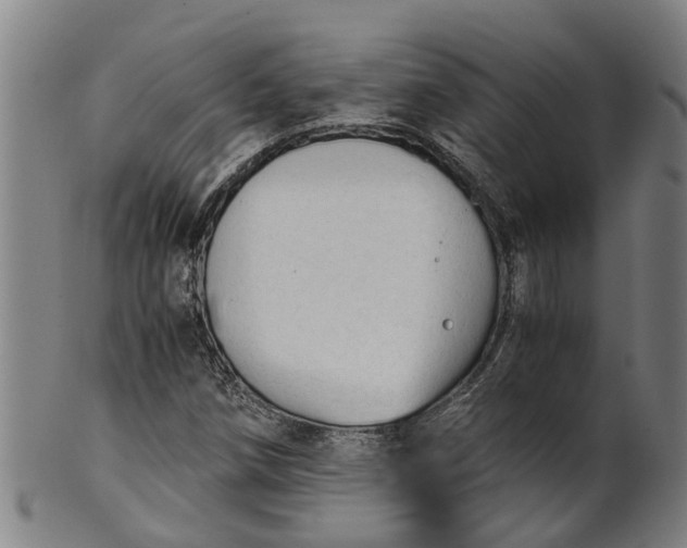 X0000101661258200807241410