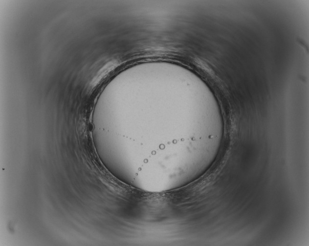 X0000101661259200807241410